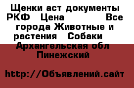 Щенки аст документы РКФ › Цена ­ 15 000 - Все города Животные и растения » Собаки   . Архангельская обл.,Пинежский 